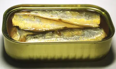 Sarden Kaleng 155 g