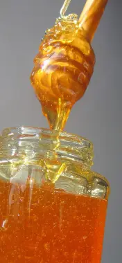 Madu Murni 250 ml