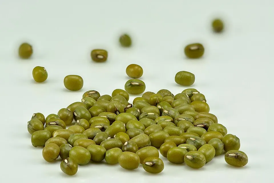 Kacang Hijau 500 g